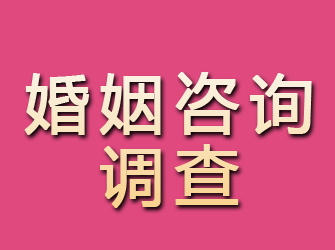 信丰婚姻咨询调查